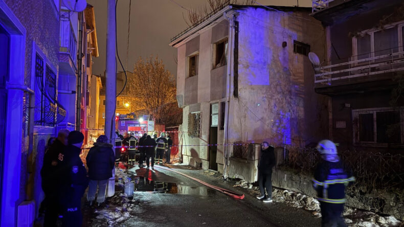 Yangın Felaketi: 26 Kedi Hayatını Kaybetti