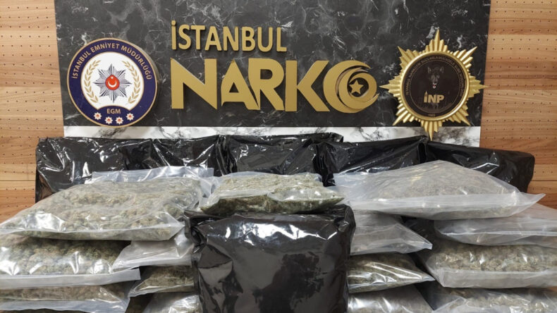 Zeytinburnu'nda Narkotik Operasyonu: Evde 22,5 Kilo Skunk Ele Geçirildi