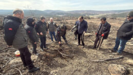 10 Şehidin Verildiği Orman Yangını B&ouml;lgesinde Yeniden Ağa&ccedil;landırma Başladı