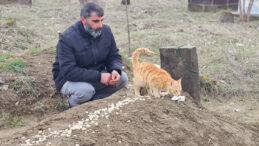 10 yıl baktığı kediler, &ouml;l&uuml;m&uuml;nden sonra da mezarının başında n&ouml;bet tutuyor