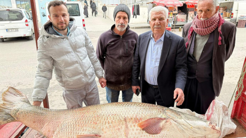 120 kiloluk balık g&ouml;renleri şaşırttı