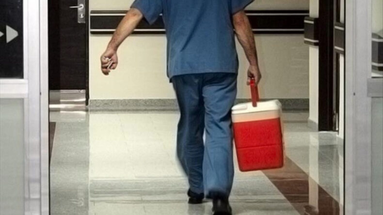 23 yaşındaki kadının organları 3 kişiye umut oldu