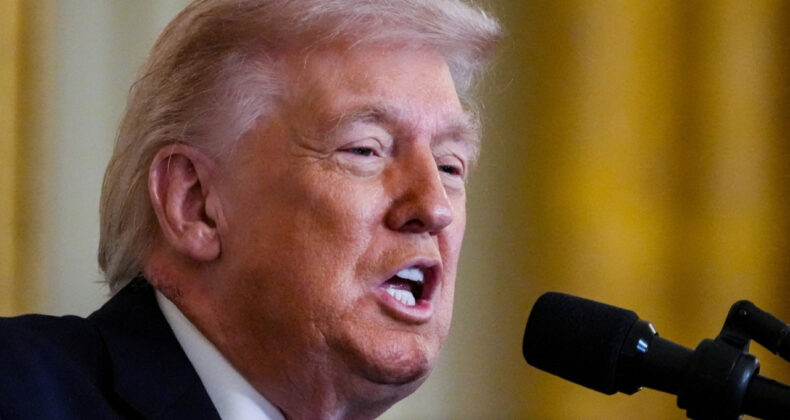 24 Eyalet Trump'a Karşı Birleşti