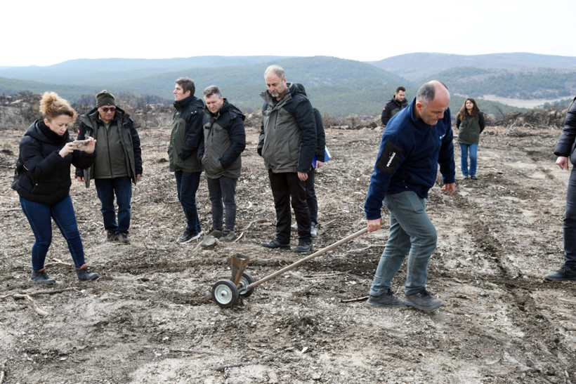 Ekiplerin ağaçlandırma çalışmaları