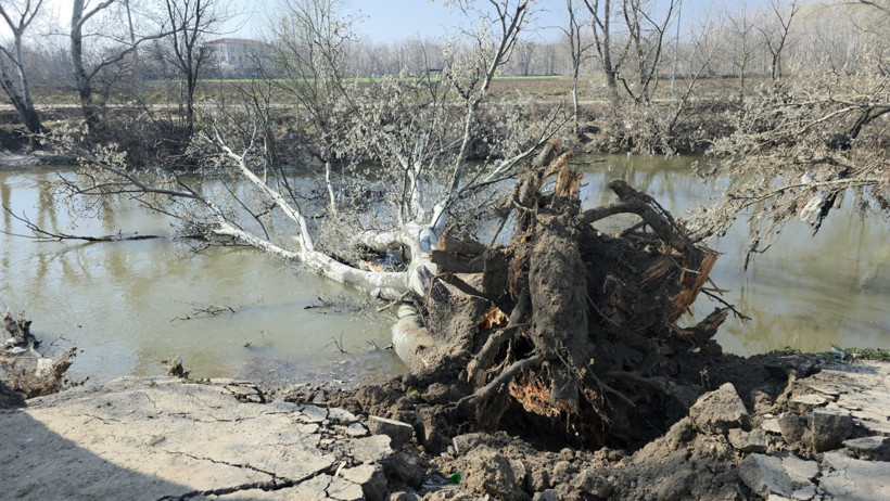 Tunca Nehri Kıyısında Toprak Kayması