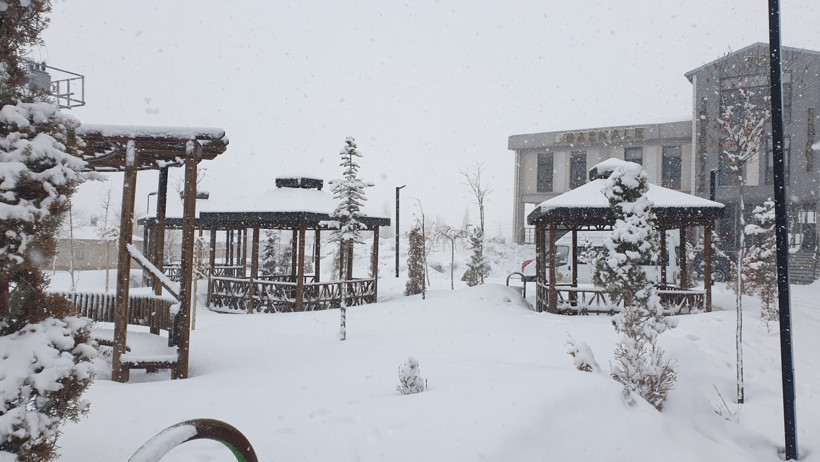 Kar Yağışı Van'da Etkili Oldu