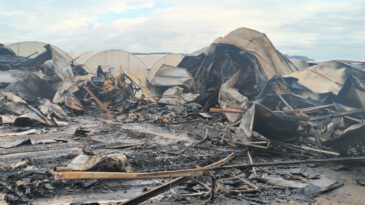 6 Kişi &Ouml;lm&uuml;şt&uuml;: Konteyner Faciasında Yeni Gelişme