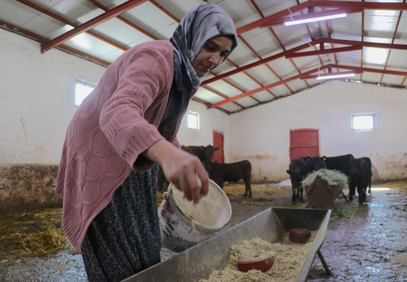 Kadın Çiftçi ve Hayvanları