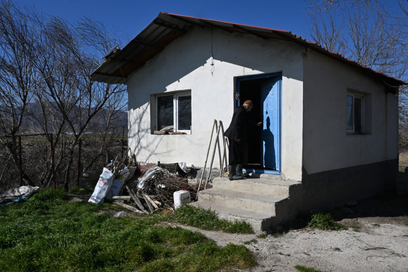 Yerli Robinson ve dostları