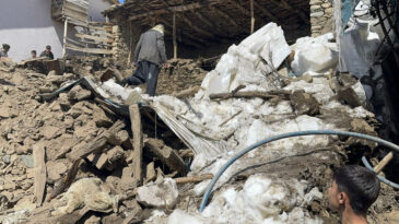 Ahır &ccedil;&ouml;kt&uuml;, kuzular g&ouml;&ccedil;&uuml;k altında kaldı