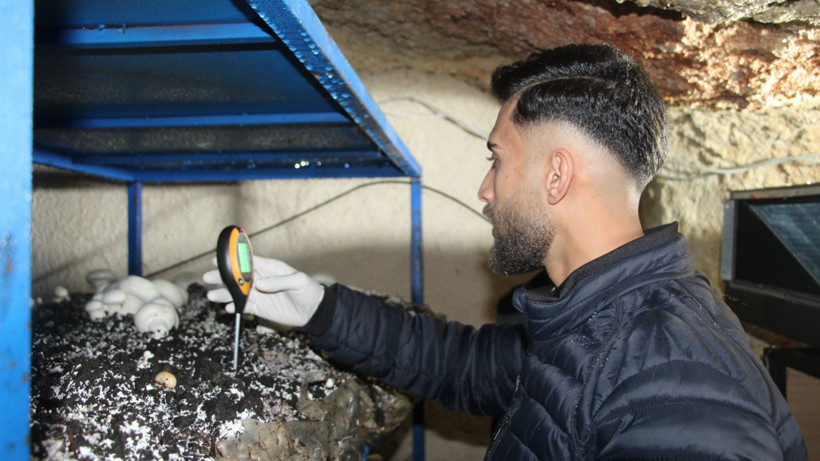 Mantar üretim tesisi