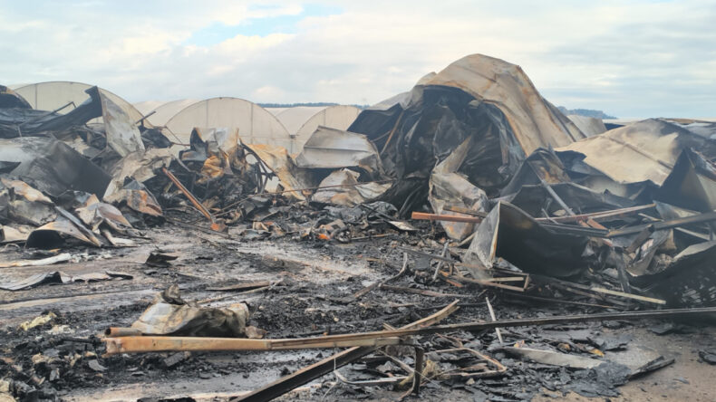 Antalya'da yangın faciası: 5'i &ccedil;ocuk, 6 &ouml;l&uuml;