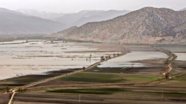 Antik Duvar Resimlerinde Vardı, Yeniden Ortaya &Ccedil;ıktı