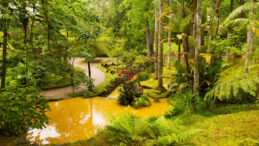 Avrupa &uuml;lkesine &ccedil;evre cezası: Her g&uuml;n 2 milyon TL &ouml;deyecek