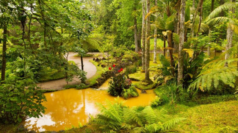 Avrupa &uuml;lkesine &ccedil;evre cezası: Her g&uuml;n 2 milyon TL &ouml;deyecek