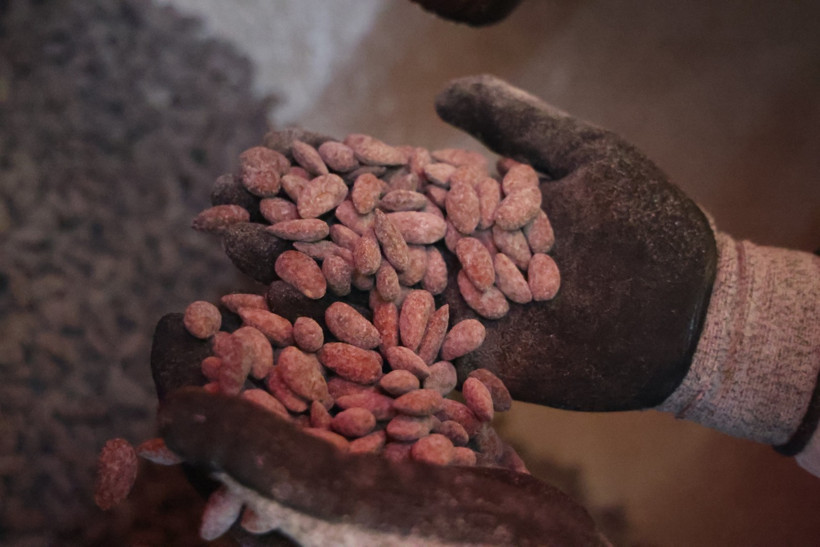 Badem şekeri üretimi