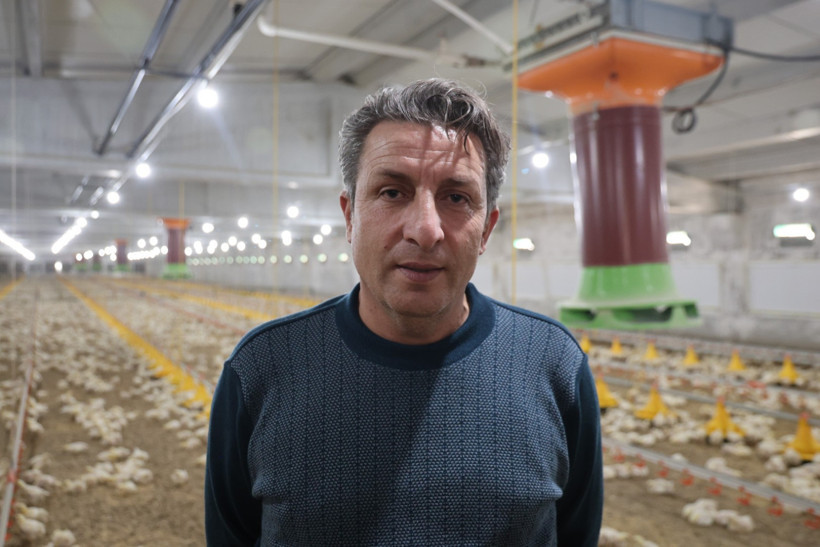 Büyükbaş hayvan çiftliği