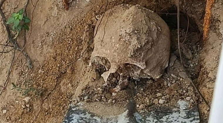 Bah&ccedil;esinde Kazı Yaparken İnsan Kafatası Buldu