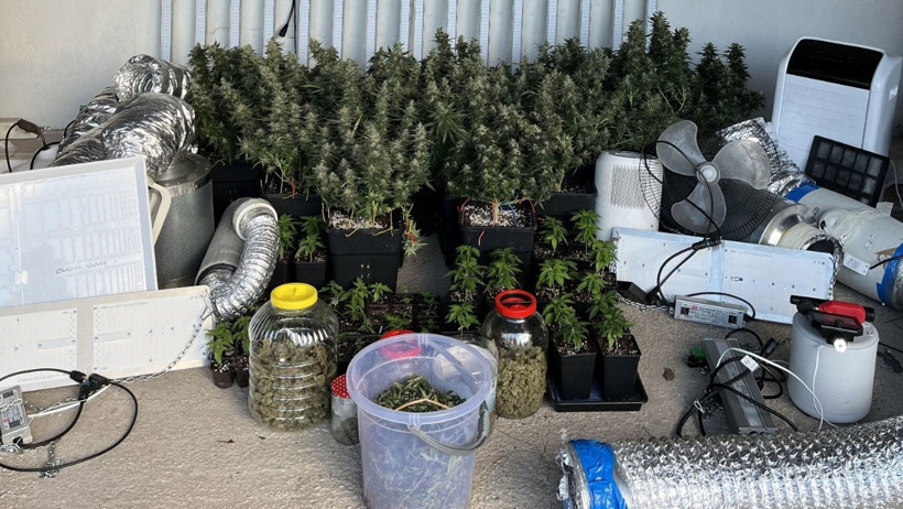 Zanlılar ve Gözaltına Alma