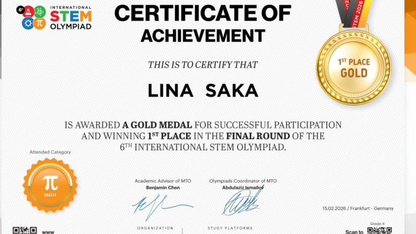 Lina'nın Başarıları