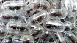 Bavulundan test t&uuml;plerinde y&uuml;zlerce canlı karınca &ccedil;ıktı