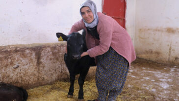 Besiciliğe başlayan kadın &ccedil;ift&ccedil;i 5 ayda hayvan sayısını ikiye katladı