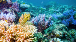 Bilimsel rapor: D&uuml;nya'da ciddi enerji dengesizliği var