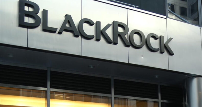 BlackRock'ın Hisseleri Sert D&uuml;şt&uuml;