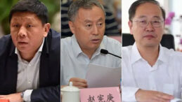 &Ccedil;in'den dikkat &ccedil;eken hamle: &Uuml;st d&uuml;zey bilim insanlarının profilleri kaldırıldı