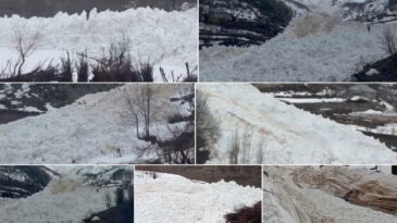 &Ccedil;ığ paniği! K&ouml;y halkı faciadan d&ouml;nd&uuml;
