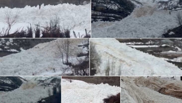 &Ccedil;ığ paniği! K&ouml;y halkı faciadan d&ouml;nd&uuml;