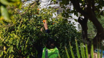 Dalında Kalıyor, İhtiya&ccedil; Sahiplerine Ulaştırılıyor