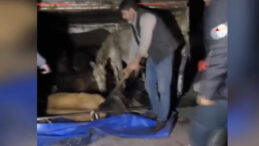 Devrilen Kamyonetin Kasaındaki Eşekler Yaralandı