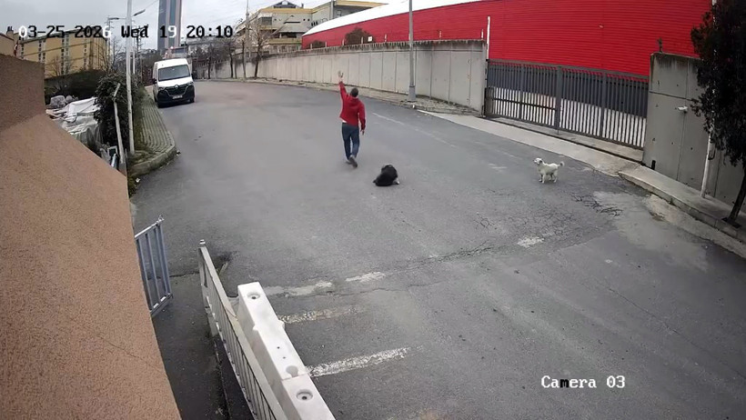 Cipin köpeğin üzerinden geçtiği anlar