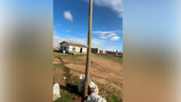 Direği oyup ka&ccedil;ak hat &ccedil;ekmişler