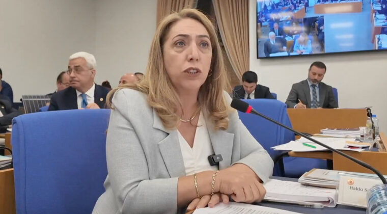 Disiplin kurulu soruşturması başlatıldı! DEM Partili vekil, TBMM'deki g&ouml;revinden &ccedil;ekildi