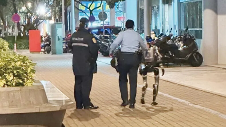 D&uuml;nyada ilk: Yaşlı kadını korkutan robot 'g&ouml;zaltına alındı'