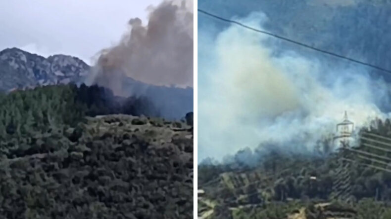 Elektrik Direği Ormanı Yaktı