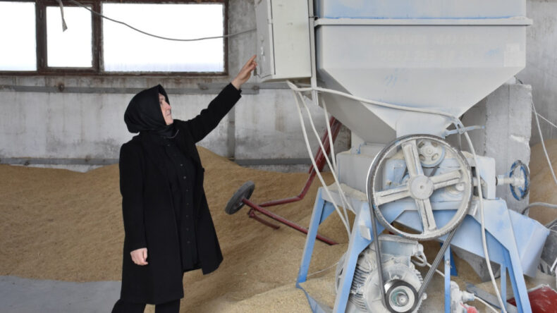 Ev hanımıyken 900 b&uuml;y&uuml;k başlı &ccedil;iftliğin sahibi oldu