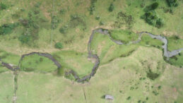 Ezber bozan keşif: 14.500 yıllık kanıt tartışmaya a&ccedil;ıldı