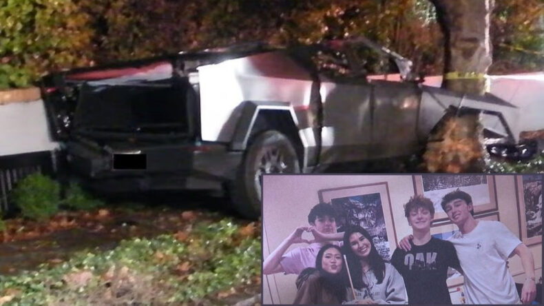 Faciadan kurtulan tek kişi oldu, Tesla'ya dava a&ccedil;tı