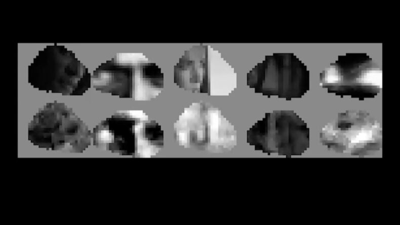 Farelerin etrafını nasıl g&ouml;rd&uuml;ğ&uuml; ortaya &ccedil;ıktı