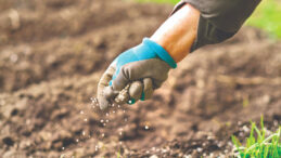 Fiyatı fırlamıştı, iktidar ithalatın &ouml;n&uuml;n&uuml; a&ccedil;tı