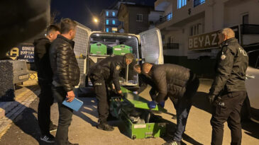 Gen&ccedil; kadın apart dairede &ouml;l&uuml; bulundu