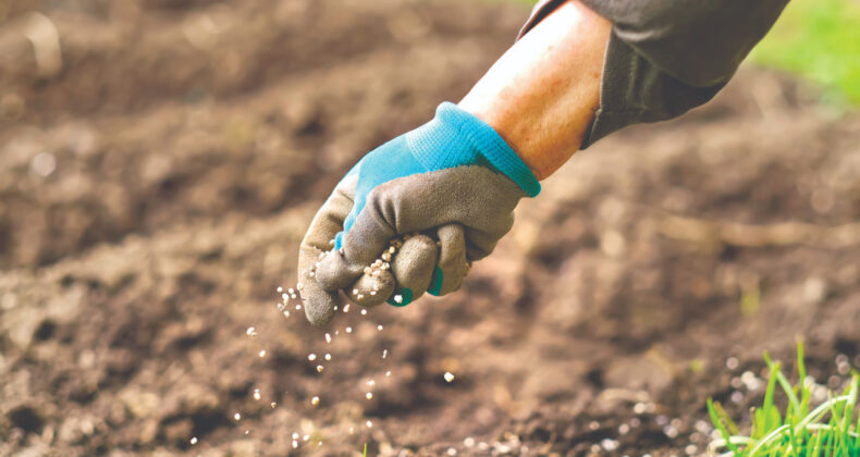 G&uuml;brede B&uuml;y&uuml;k Kriz Kapıda