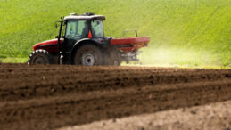 G&uuml;bredeki kriz yasağı kaldırttı!