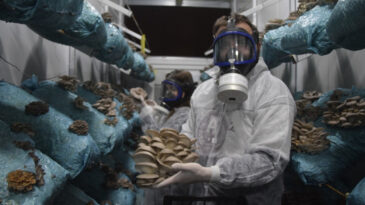 Hobiyle başladı, dev tesise d&ouml;n&uuml;şt&uuml;rd&uuml;! 26 yaşında yılda 290 ton &uuml;retim