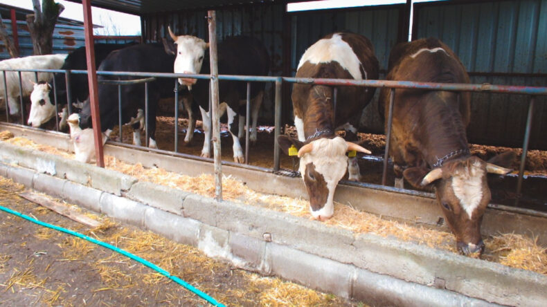 İki Ay Kaldı, Hisse Fiyatları Uçtu