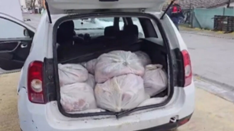 İstanbul'da Ele Ge&ccedil;irilen 306 Kilogram At Eti, Piyasaya S&uuml;r&uuml;lecekti