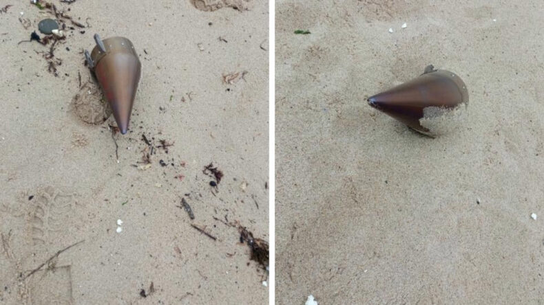 İstanbul&rsquo;da kıyıya vurdu, ekipler harekete ge&ccedil;ti